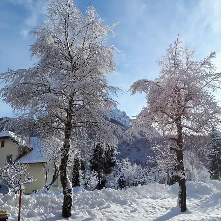 Charming With The Mountain View